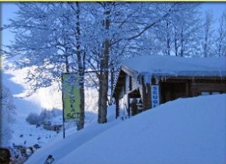  The school 